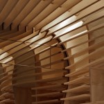 Baker D Chirico Carlton Melbourne  Architect: March Studio  Grap