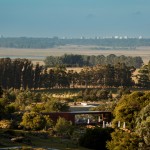 FASANO_LAS_PIEDRAS_641
