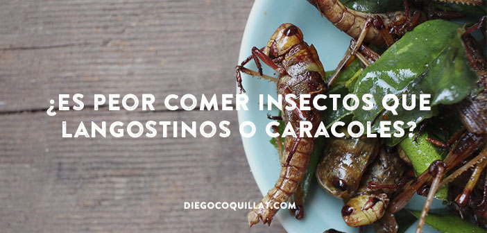 Los platos elaborados con insectos entran en la cocina Europea