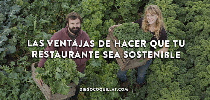 Las ventajas de hacer que tu restaurante sea sostenible