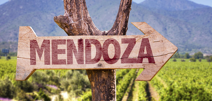 Mendoza, el Sillicon Valley del vino