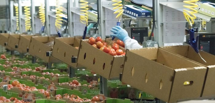 ¿Los robots están cambiando la industria alimentaria actual?