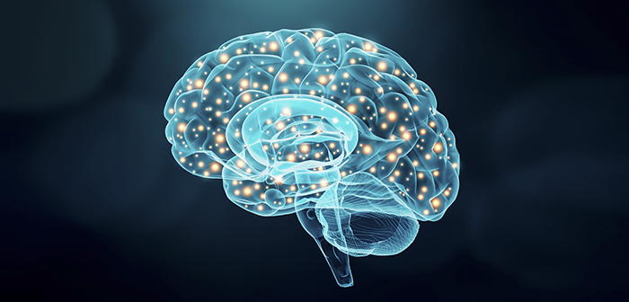 Estudios que confirman que la neurociencia aplicada a cartas y menús mejora las ventas de los restaurantes