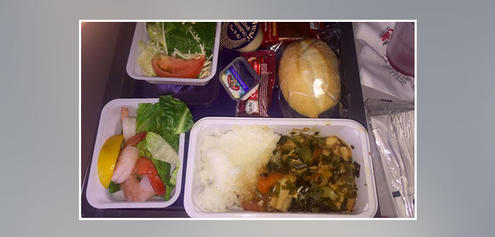 Delta---Dinner-in-economy-class
