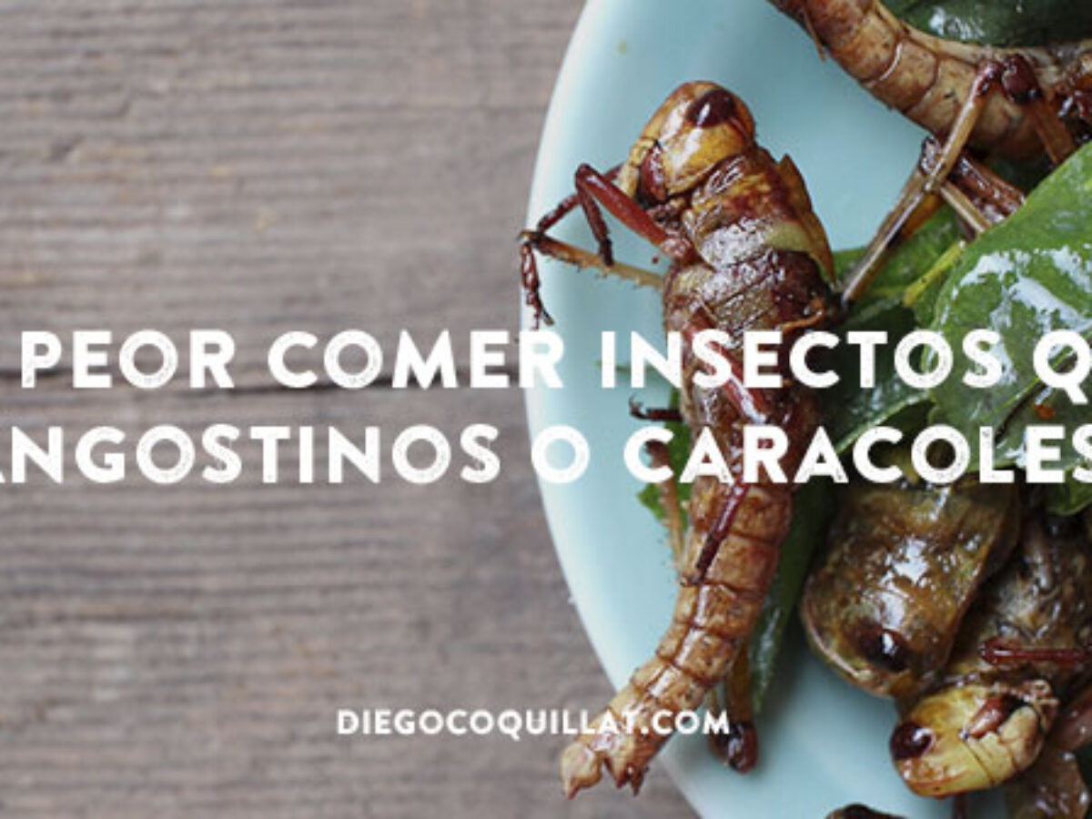 Pollo Con Insecto Insectos En La Cocina Bichitos En La Cocina, ¿qué Son?