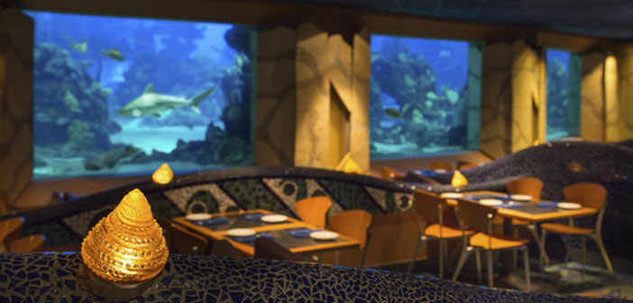 El comedor está presidido por un gran arrecife de coral repleto de criaturas marinas que hipnotizan hasta al más avispado de los clientes, además el menú gira entorno a los sabores del mar.