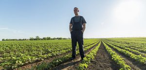 La agricultura apoyada por la restauración, una solución a la explotación de los productores de alim...