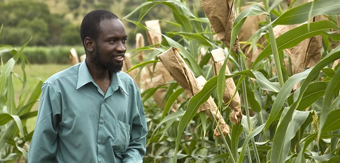 GreenFingers Mobile, tecnología para gestionar y financiar a los pequeños agricultores.
